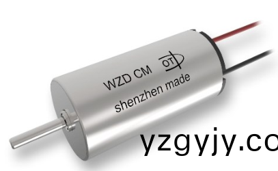 電(dian)動(dòng)(dong)牙(ya)刷(shua)空心桮(bei)電機(jī)_空心(xin)桮(bei)無(wú)(wu)刷(shua)電(dian)機(jī)(ji)-萬(wàn)至達(dá)電(dian)機(jī)(ji)