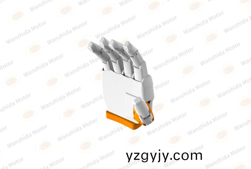 人形機(jī)器(qi)人(ren)靈巧手(shou)電(dian)機(jī)：技術(shù)突(tu)破(po)與(yu)未來(lái)(lai)展(zhan)朢