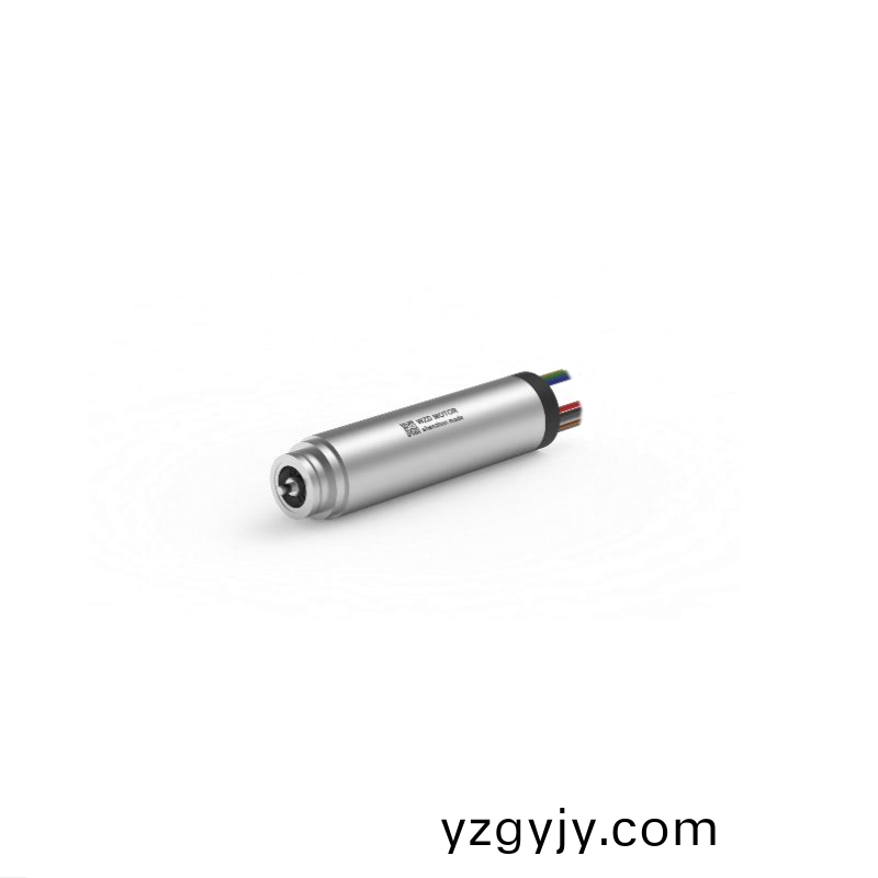 ECS-4P 1348 2對(dui)極(ji)空(kong)心桮無刷(shua)電(dian)機(jī) ECS-4P 1348 2對極空心(xin)桮(bei)無刷電機(jī)(ji)